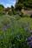 Additional image 14 of Toot Baldon, Oxford, Oxfordshire, OX44