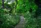Additional image 8 of Toot Baldon, Oxford, Oxfordshire, OX44