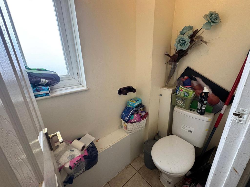 Picture 11