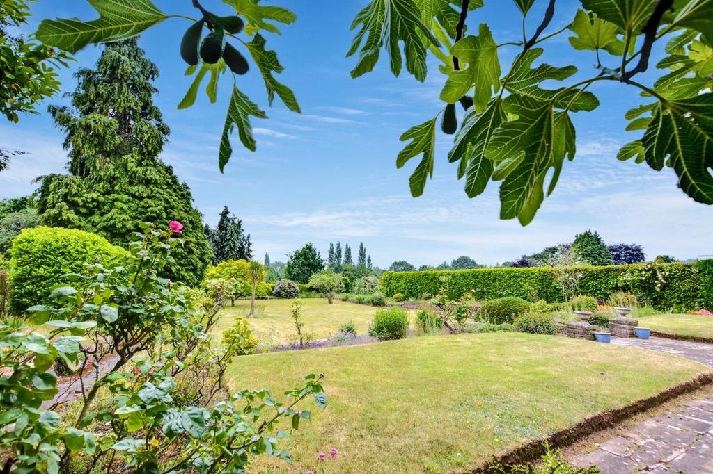 Garden 3.jpeg