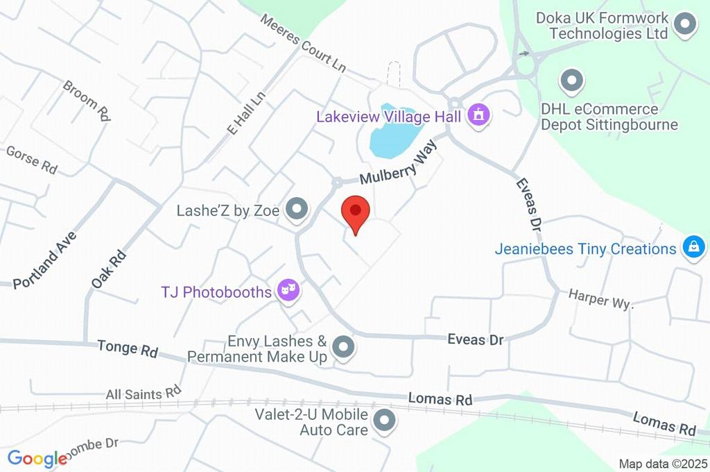 Google Maps Image
