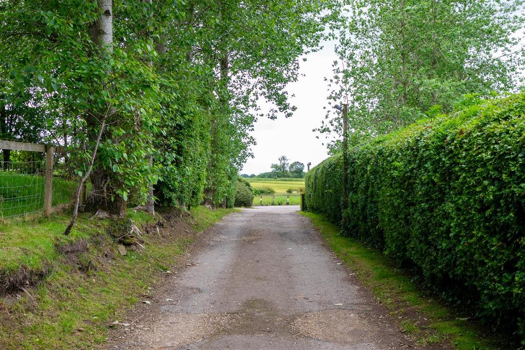 DSC 7208.jpg
