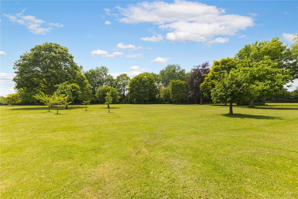 Grounds