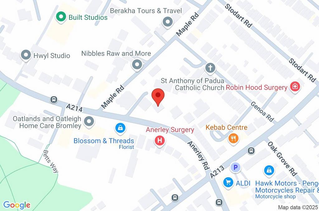 Google Maps Image