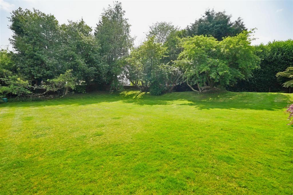 Garden 8.jpg