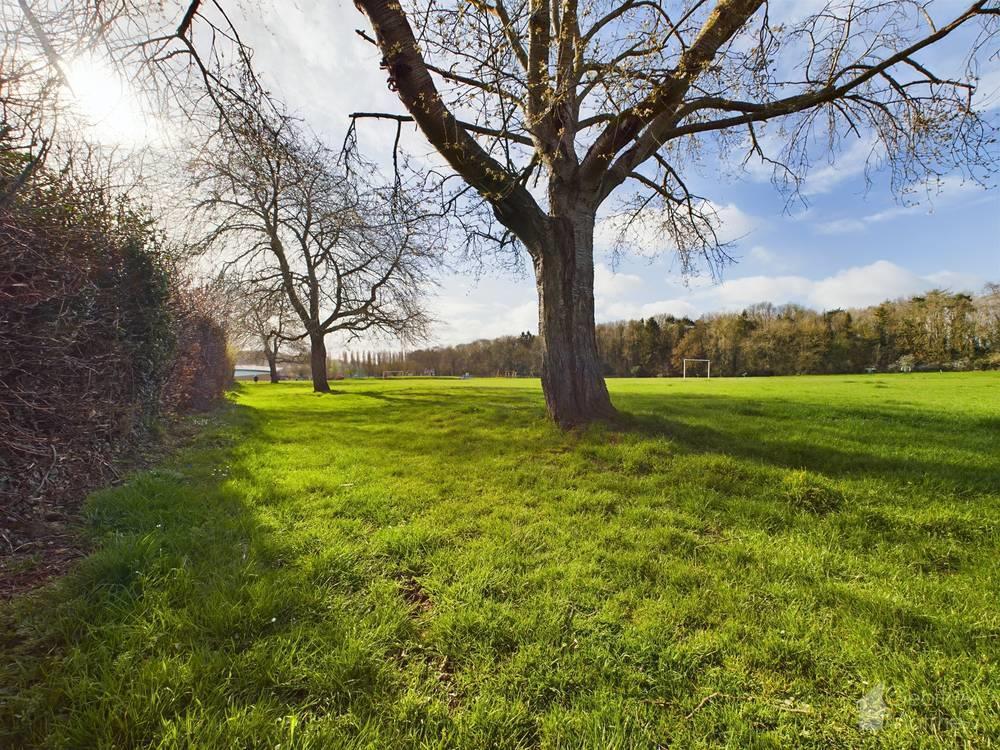 Ridlins Park.jpg