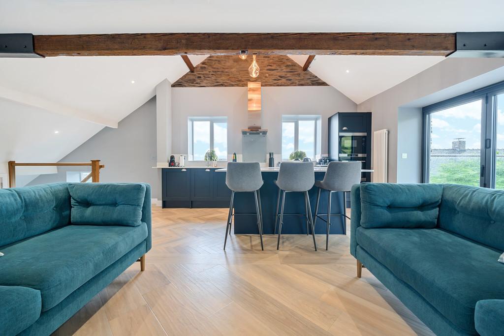 Living Room and Kitchen Area