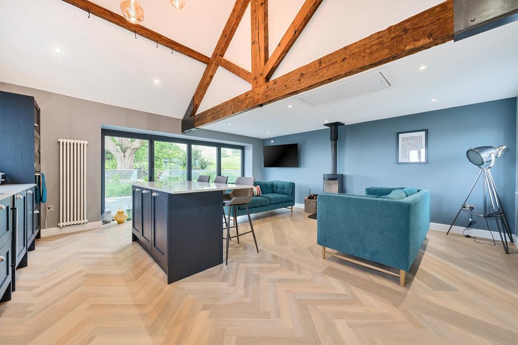 Living Room and Kitchen Area