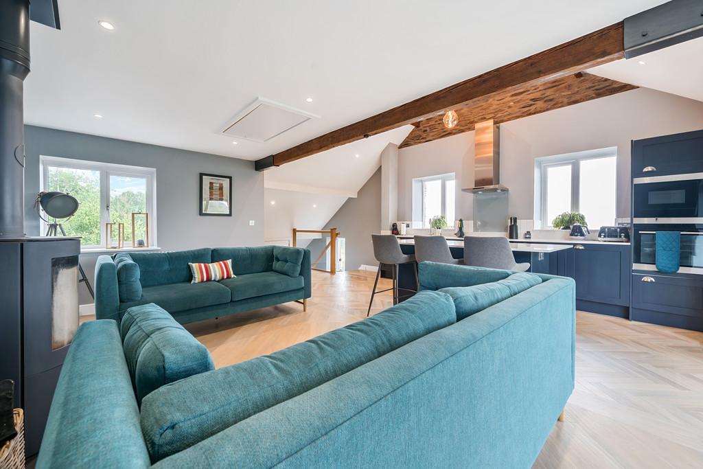 Living Room and Kitchen Area