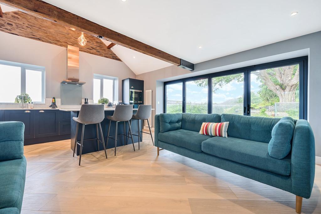 Living Room and Kitchen Area