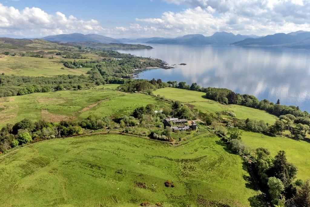 Picture No. 47