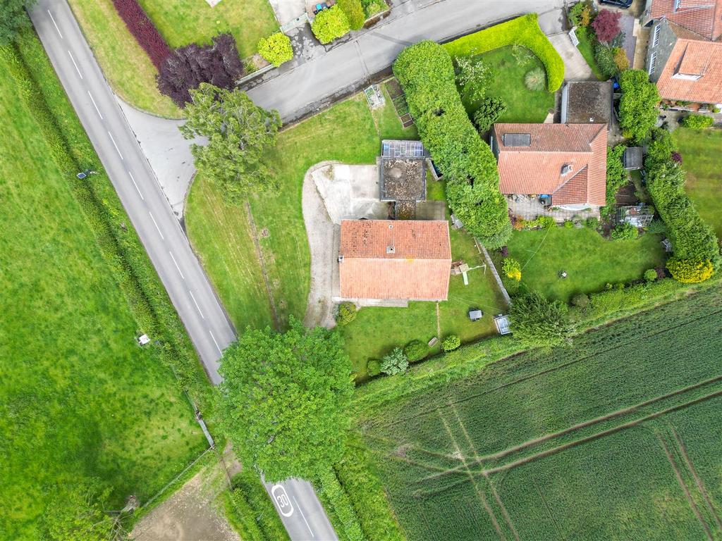 DJI 0591 copy.jpg