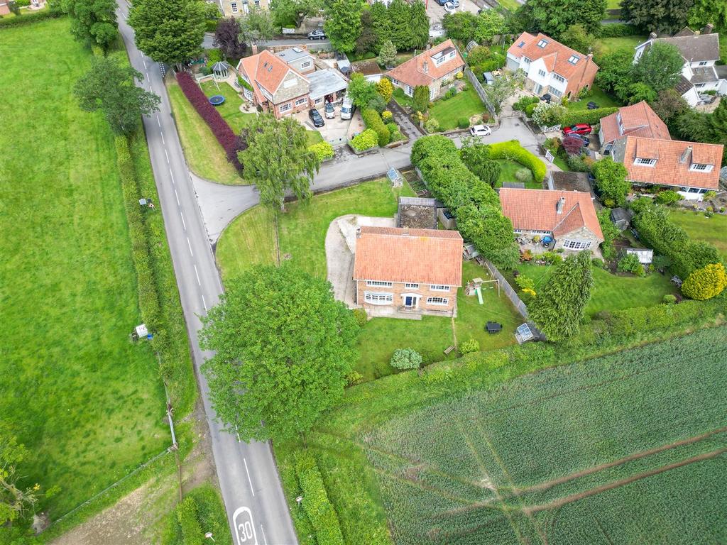 DJI 0589.jpg