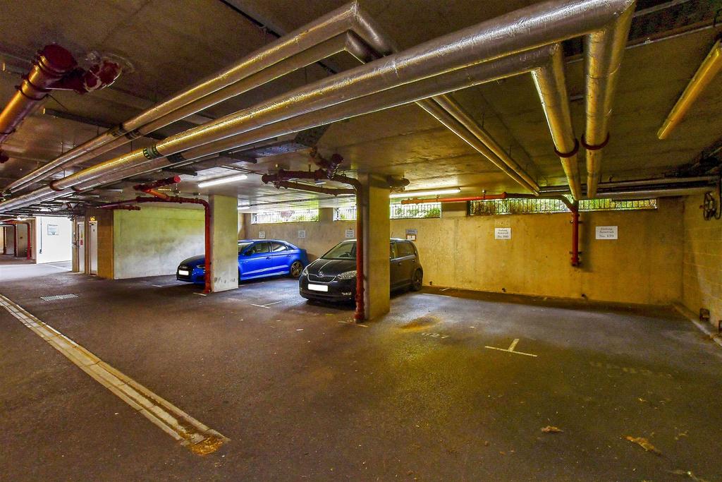 Driveway/Parking