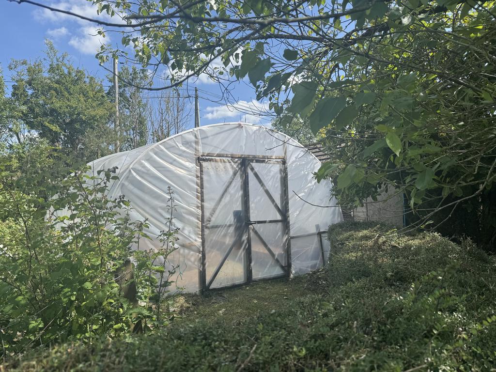Poly tunnel 2