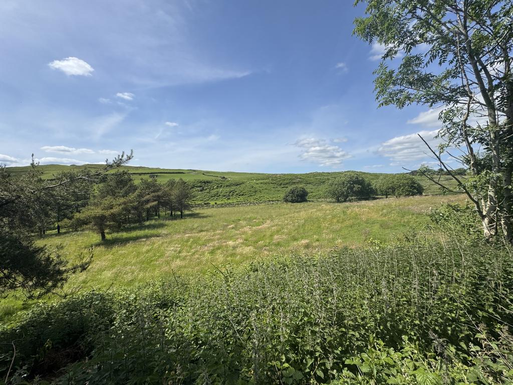 Land (second image)