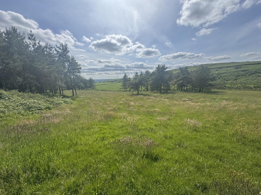 Land (third image)