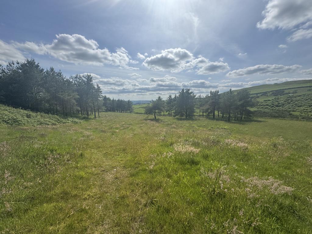 Land (fourth image)