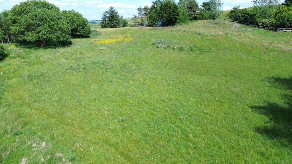 Land (fifth image)