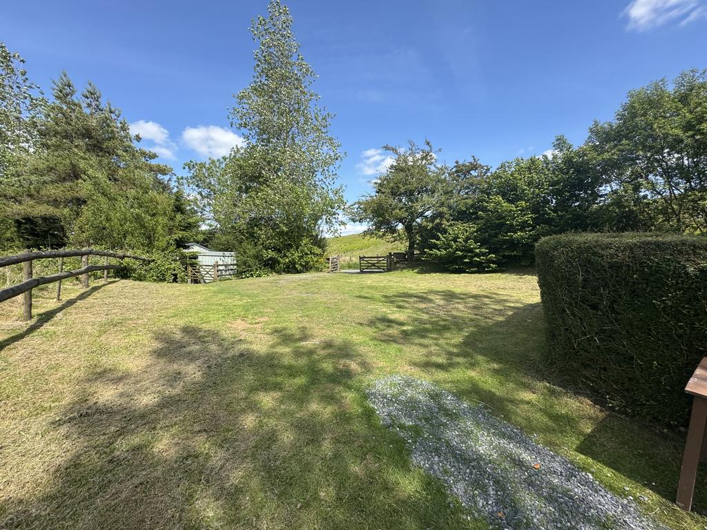 Parking and driveway