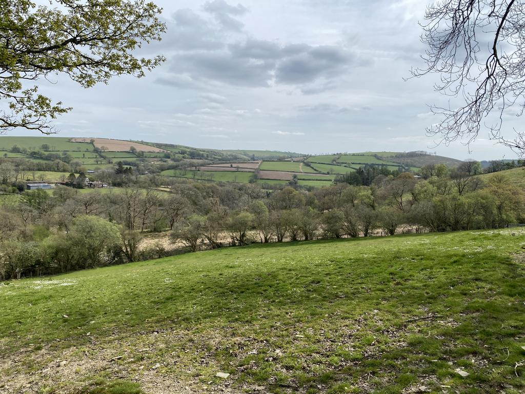 The land
