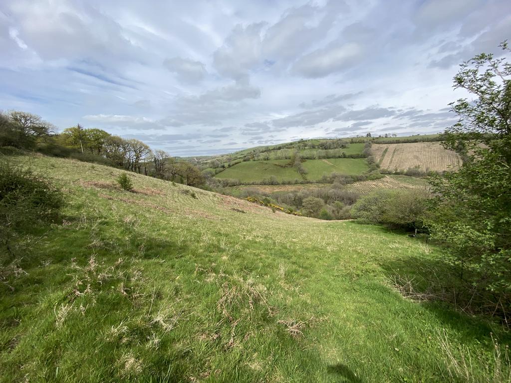 Land (fourth image)