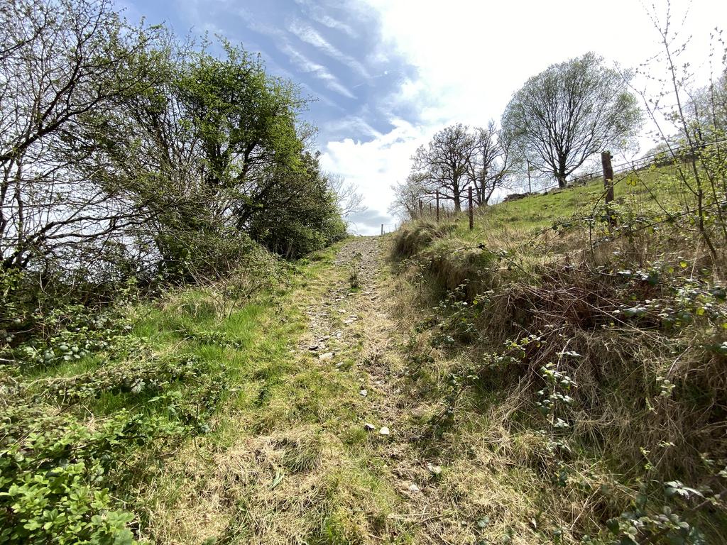 Track to river meadow