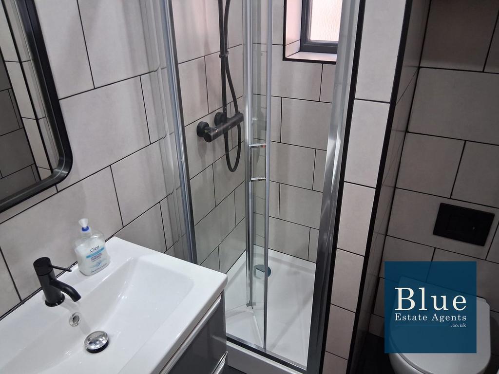 Ground Floor Shower Suite