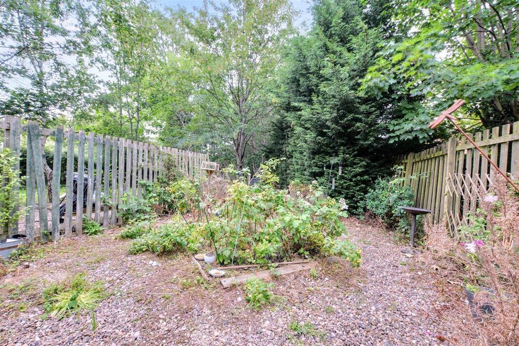 Garden 3.jpeg