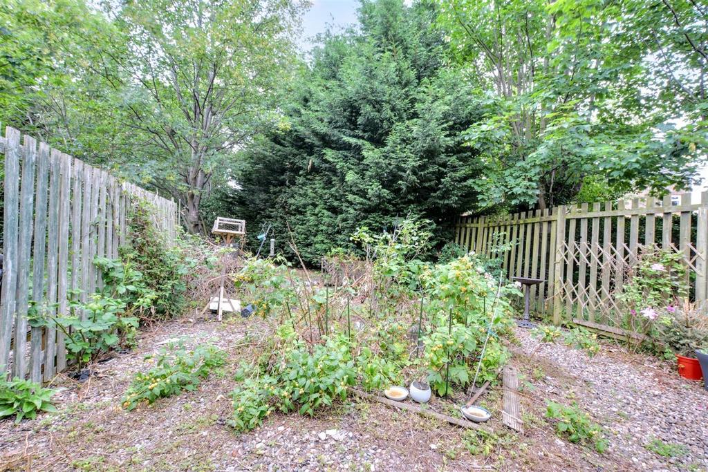 Garden 4.jpeg