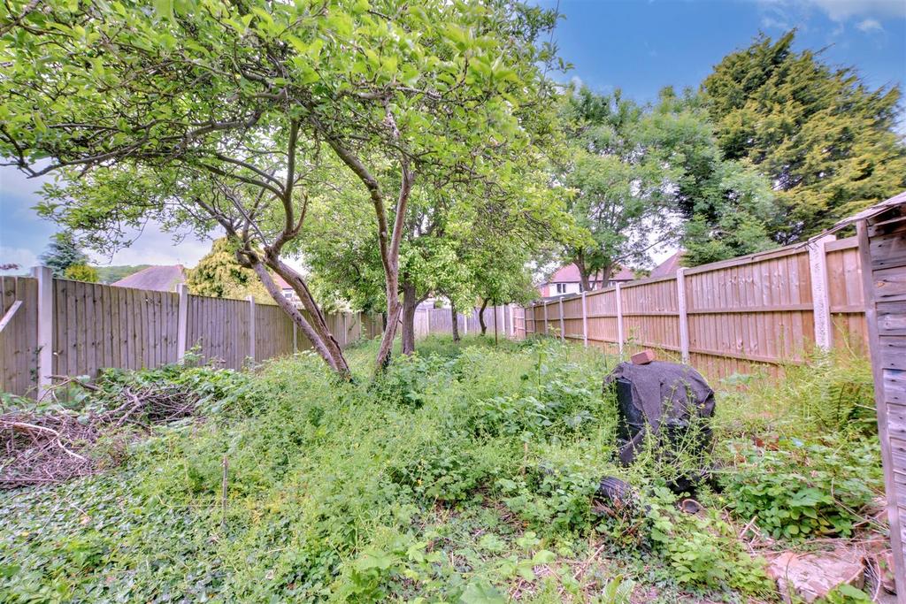 Garden 1.jpeg
