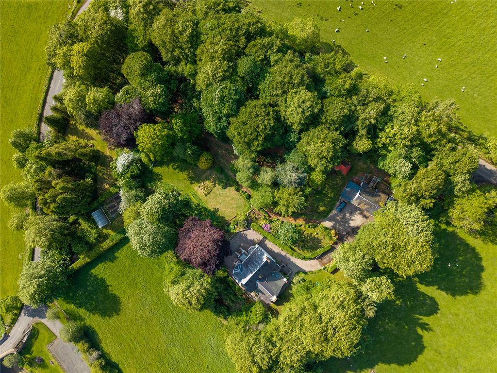 Aerial