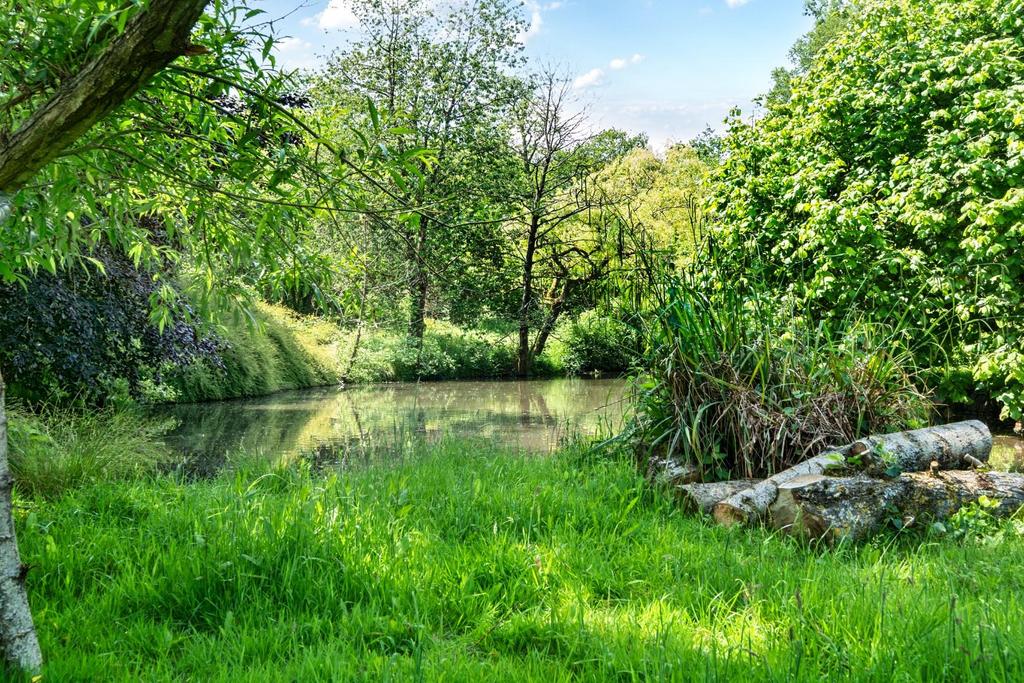 Pond view.jpg