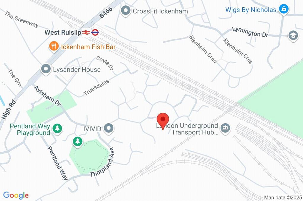 Google Maps Image