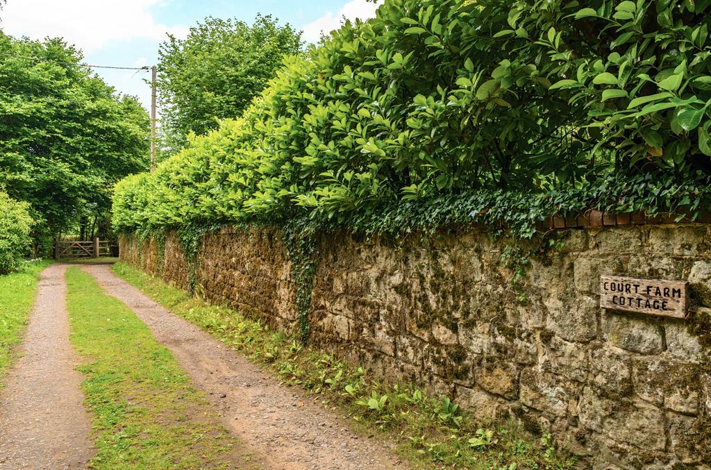 1307144-1-684ac13...