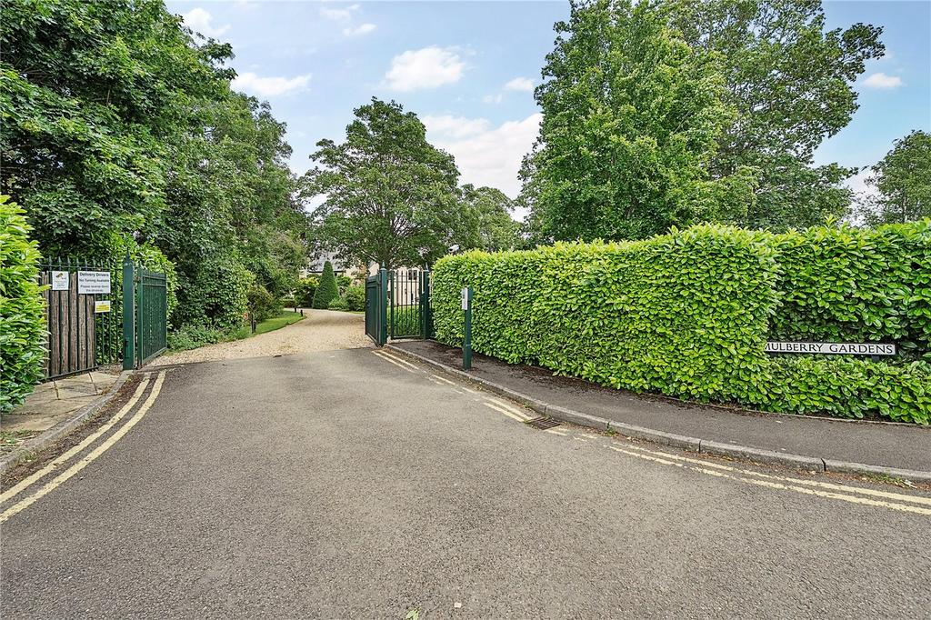 Driveway