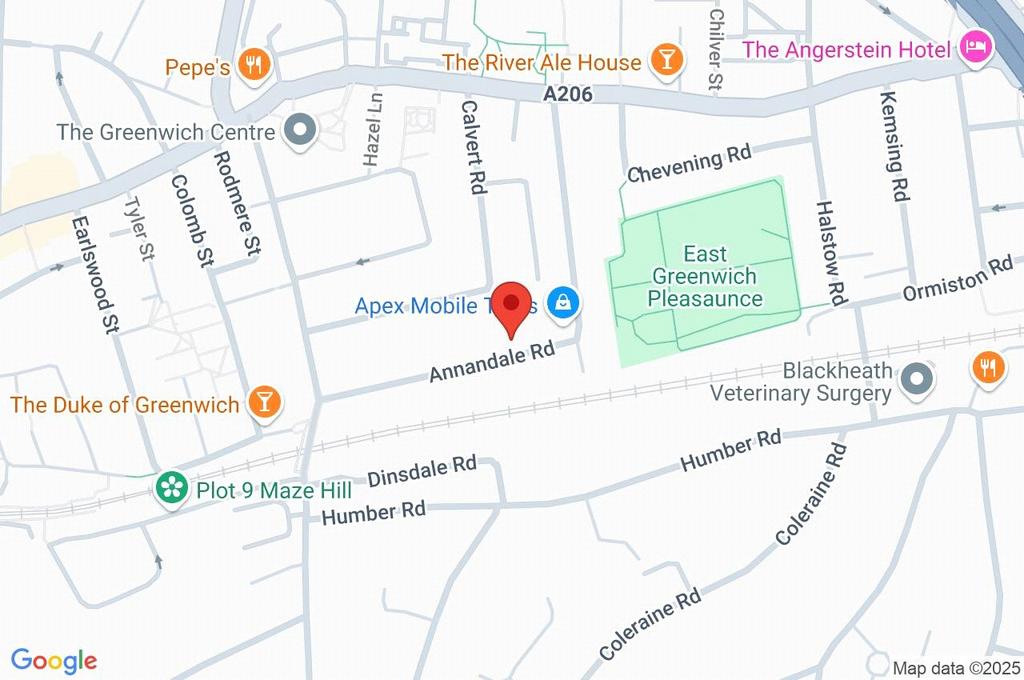 Google Maps Image