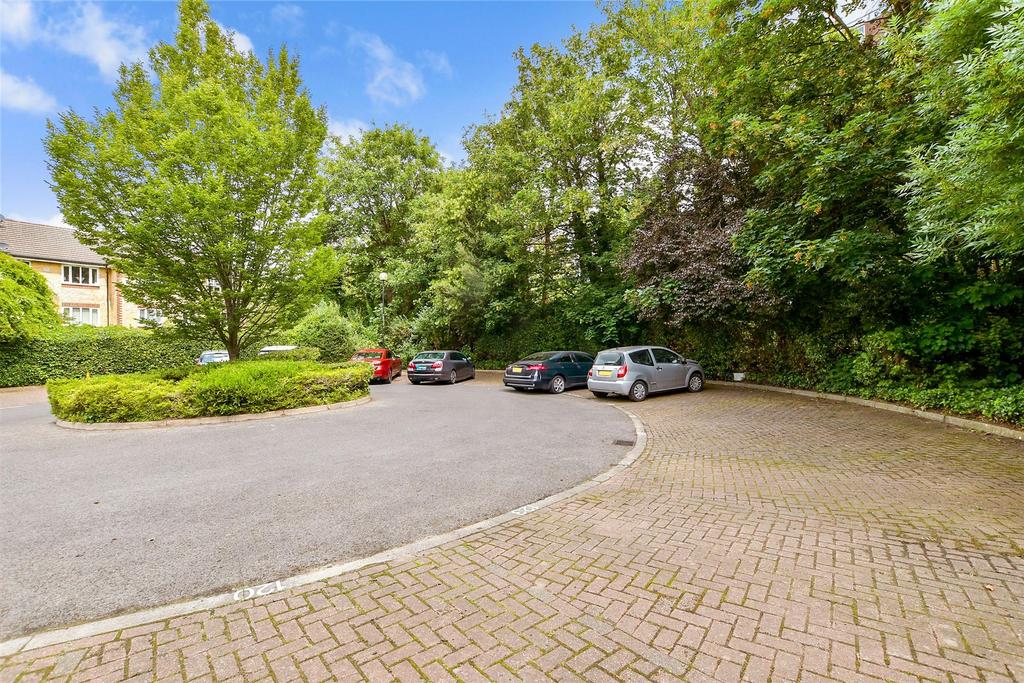 Driveway/Parking