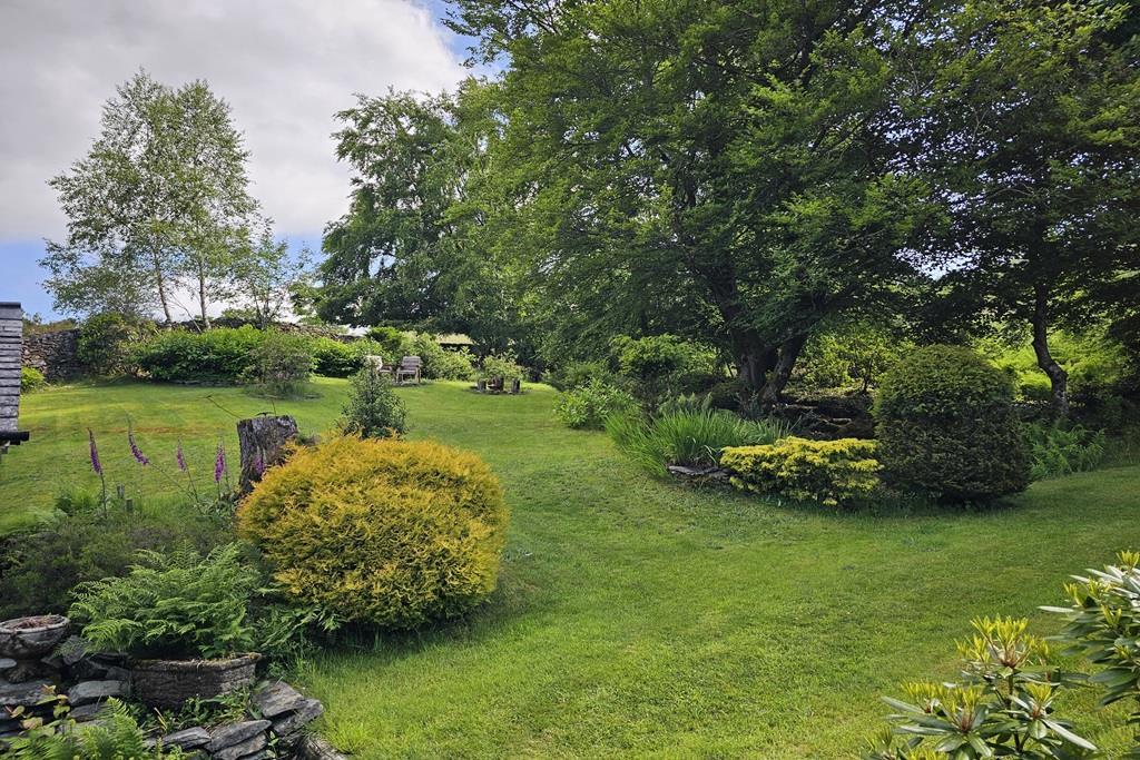 Garden.jpg