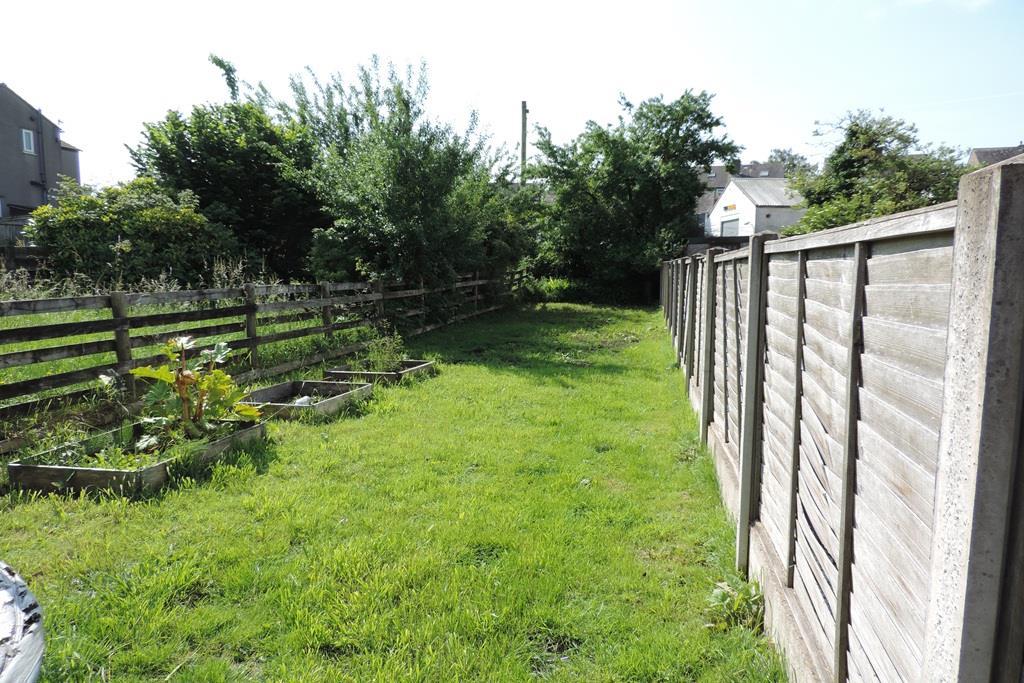 Back garden2.jpg