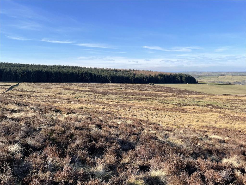 Land (Lot 2)
