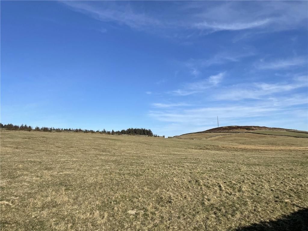 Land (Lot 2)