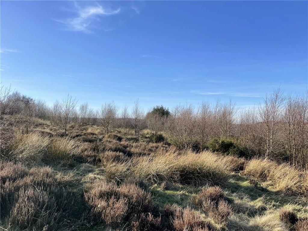Land (Lot 1)