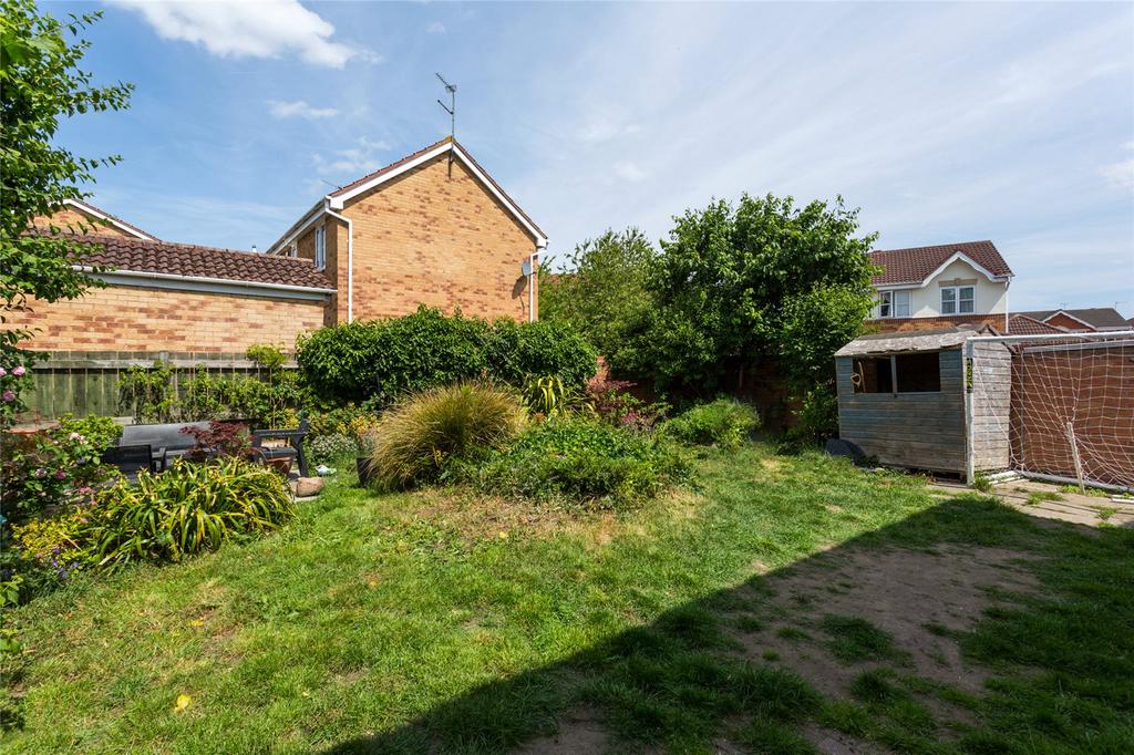 Photos
