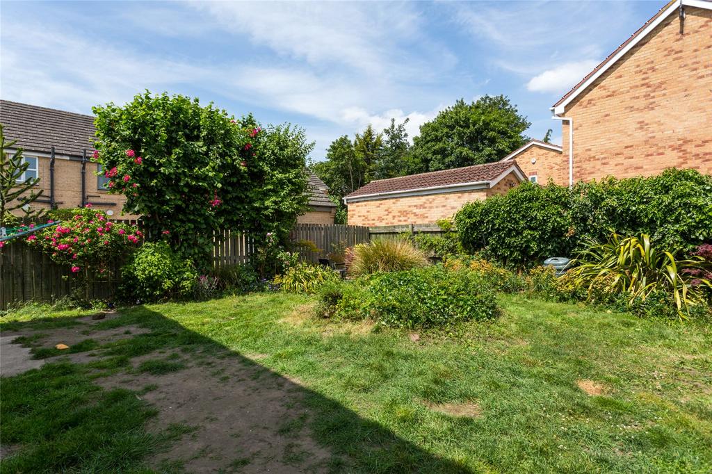 Photos