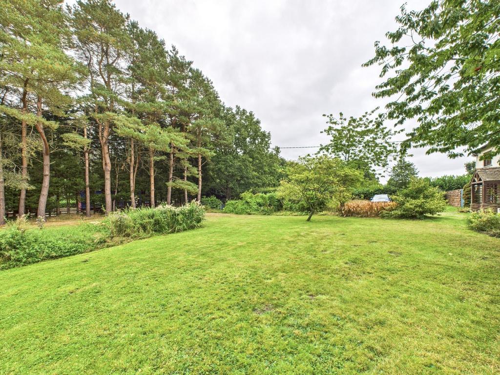 Front garden