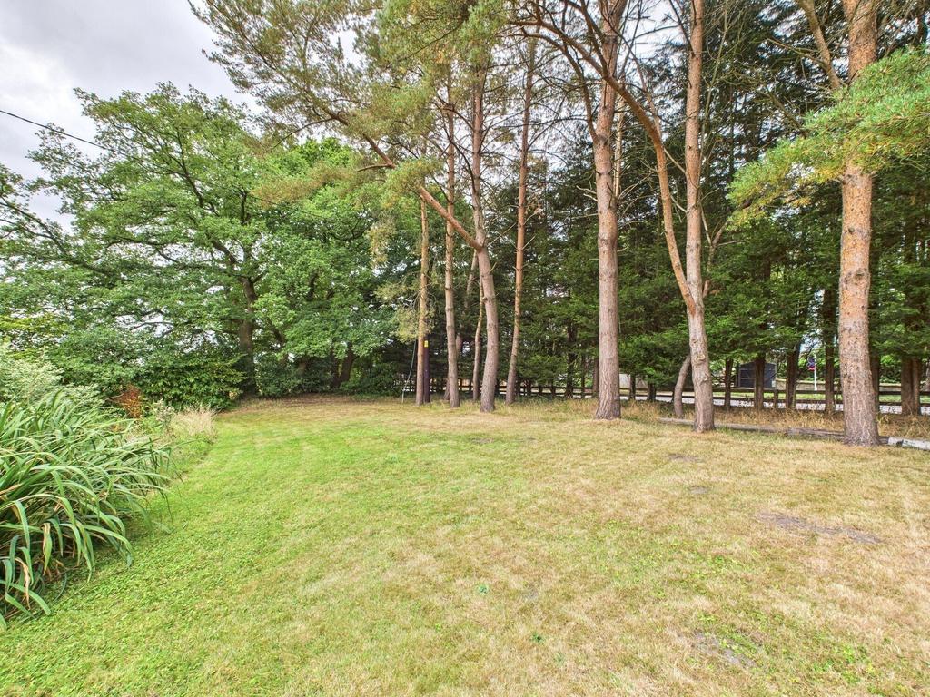Front garden