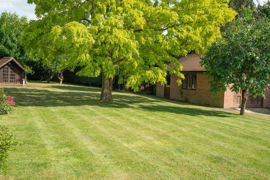 Large Mature Garden