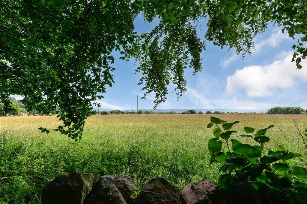 Outlook