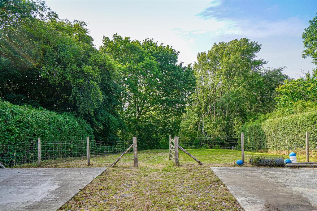 DSC09816 Alto.jpg